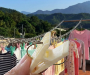 Stop Ruining Clothes! 3 Indicators for Strong, Non-Slip, Mark-Free Pegs