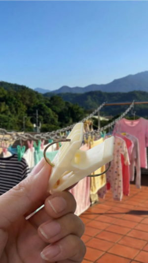 Stop Ruining Clothes! 3 Indicators for Strong, Non-Slip, Mark-Free Pegs